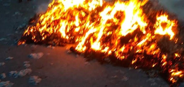 Καρδίτσα: Φωτιά σε εκκοκκιστήριο